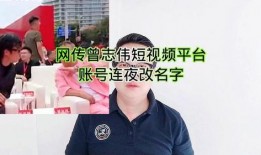 辛巴爆料金星视频大全最新,金星视频大全背后的惊人真相